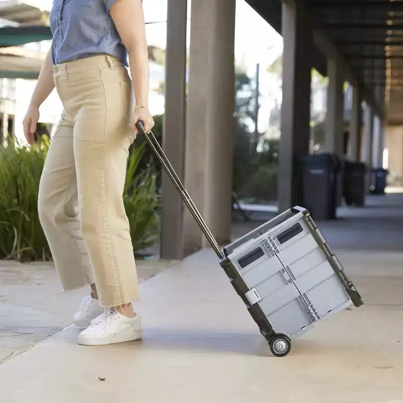 Carrello pieghevole con ruote multiuso – Plastica, manico regolabile, 45 cm L x 37 cm P x 98 cm H, nero